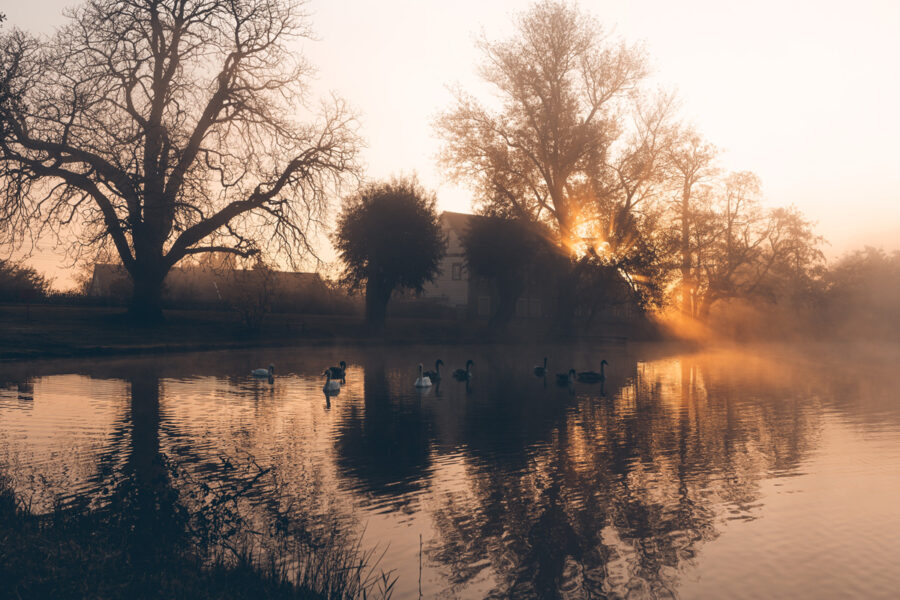 Sonnenstrahlen am Morgen am See