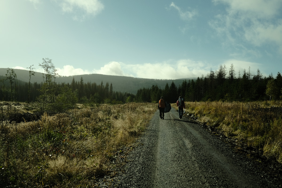 Harzlandschaft wie in Canada