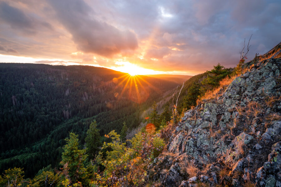 Romantische Natur im Harz
