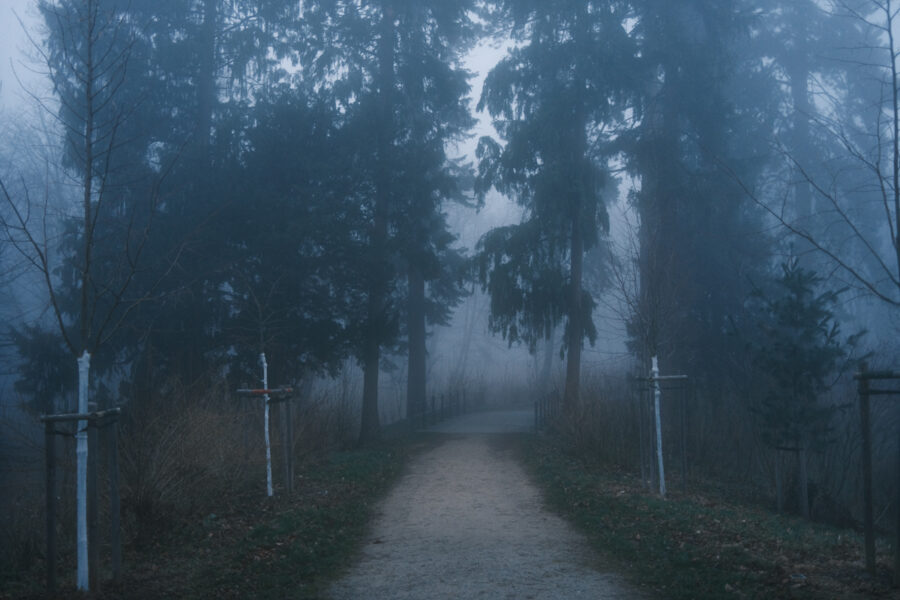 Fujifilm X100V – Filmsimulation